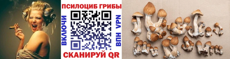 Псилоцибиновые грибы мухоморы Зима