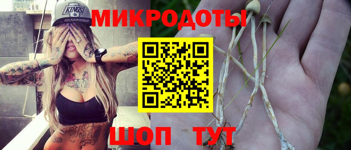Галлюциногенные грибы мицелий Зима