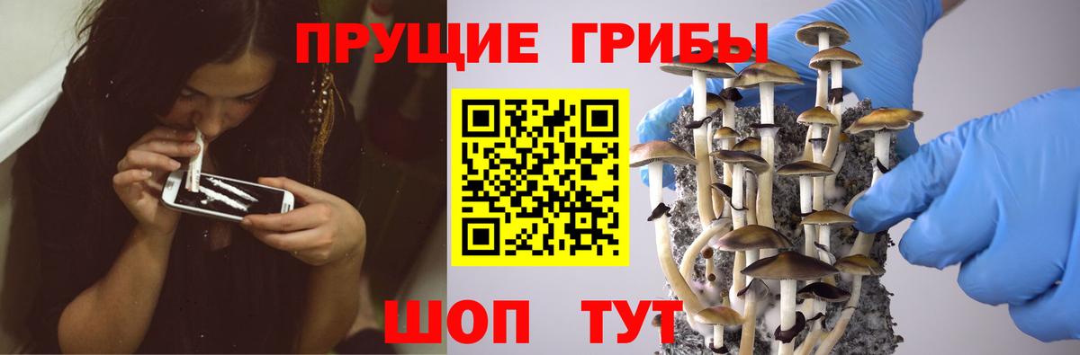 Псилоцибиновые грибы мухоморы  Вход с VPN  Галлюциногенные грибы Cubensis  Зима 